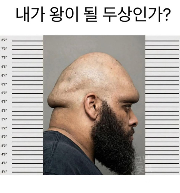 45885dc4a3fa480fbecd16f626c85e85_1773859569_8973.jpg