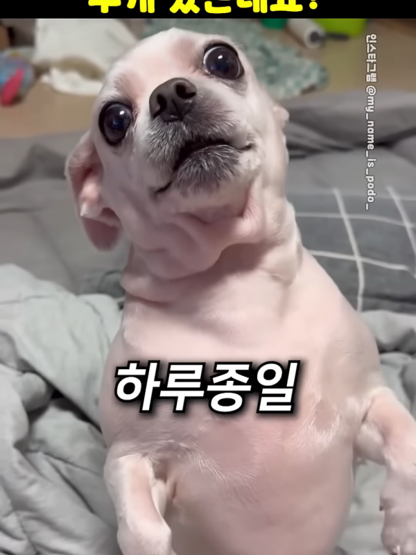 4d0e8c5457c96b797a48e8941e9997d8_1773807503_911.png