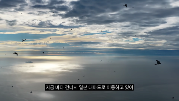 4f48b8ba2b03ac3ac787a518f4597cea_1773864334_3928.png