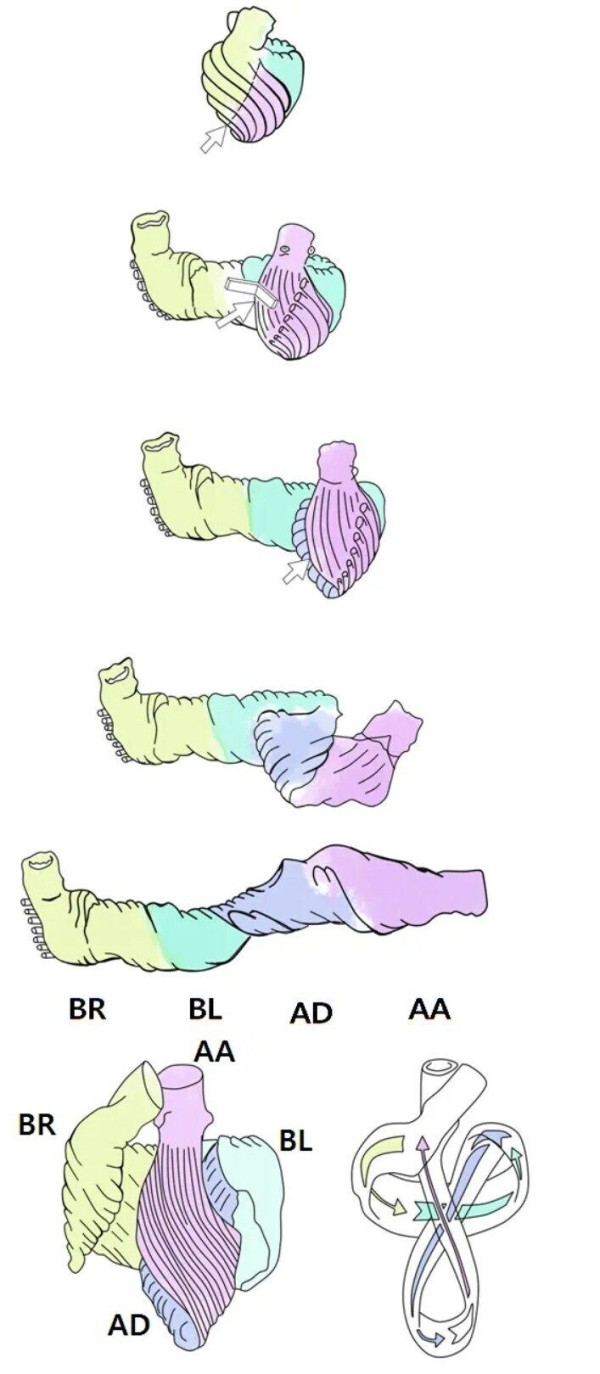 5f5c262b8bb4ea11115a735aeab9ec8b_1773842834_3806.jpg