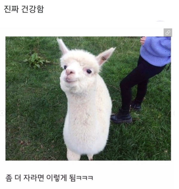62cf7c5571e39f0af625632e2bd227d8_1773762254_9197.png