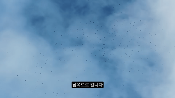 697a8d7cbf91fbe228f1f726655372b8_1773864336_7885.png