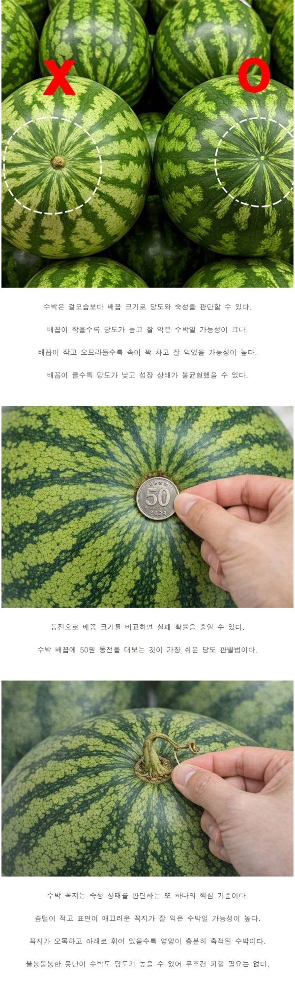 6c04d434419d243ab3e4d740ed3a501a_1774151693_7129.jpg