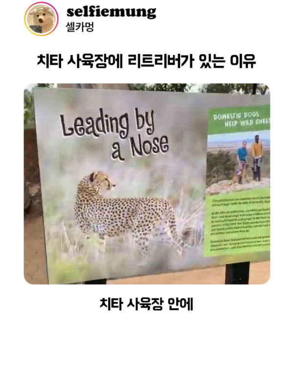 6cf2aa12a1ec8e34fb7ff1dc129e922e_1773827977_1787.png