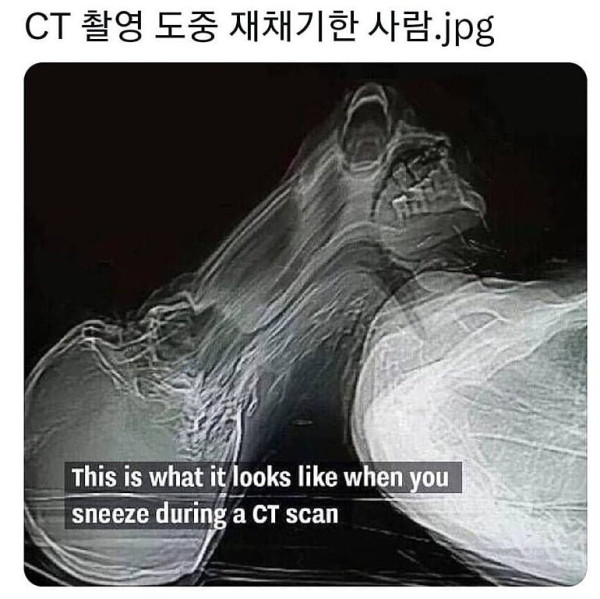 6e45529bca89e45017519ccda64c0aca_1773862415_0896.jpg
