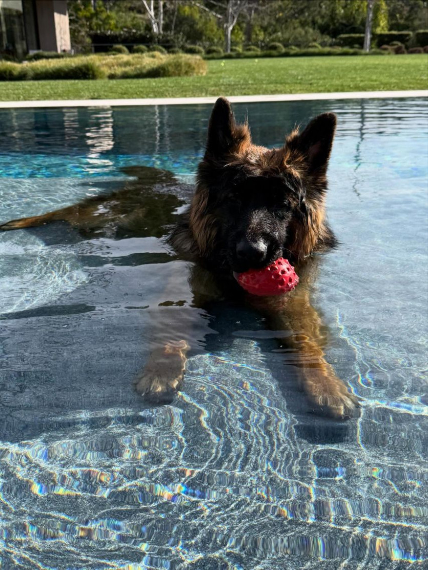 6ff458f7bc601a214c5a7ebd2f551ca3_1773920538_8943.jpg