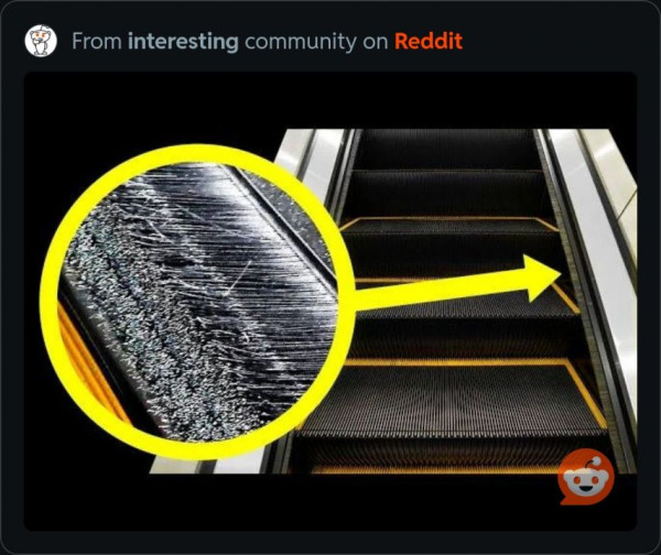 77513d856c71d356e1c4da2e80029797_1773906064_8254.jpg