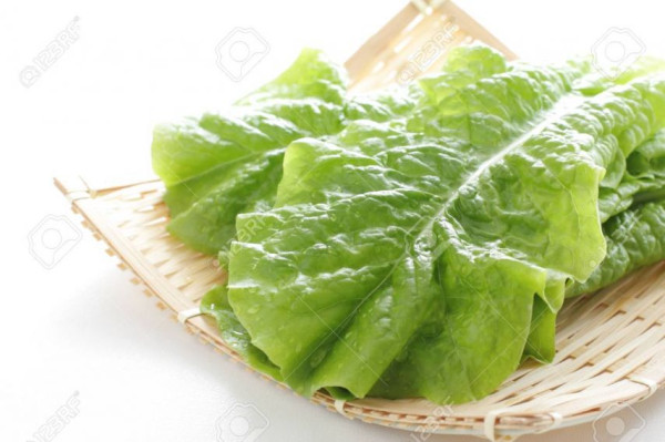 7bf356c70d335ce0cf68beb1cc3bc9b0_1773856482_6307.jpg