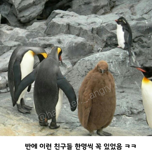7c56887e643199f5d6678f87f2686997_1773875187_935.png