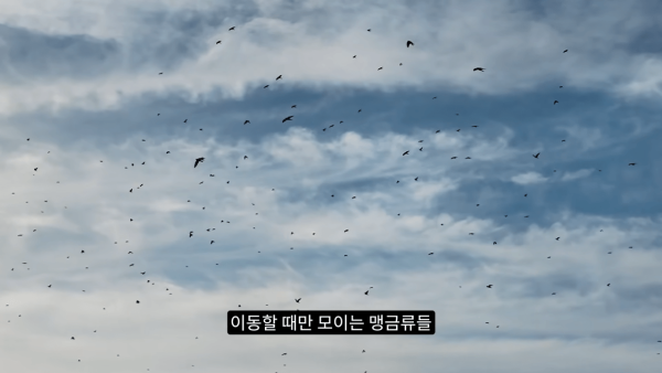 8dc2e77a072ba6261028c02d46503e0f_1773864333_641.png