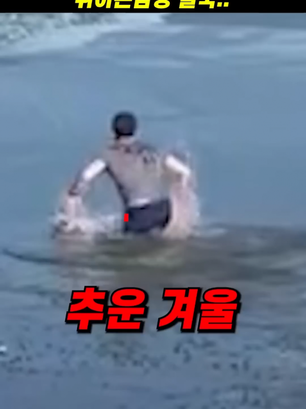 95a46594e1046f8a7ab3c38370d40a0f_1773807497_7838.png