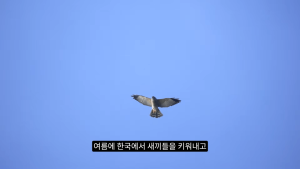 9b43ed78a4f8a4c25f326b3a33e88eb8_1773864330_3248.png