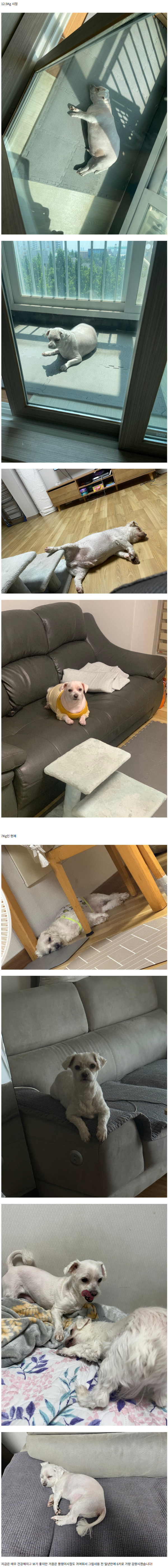 a54e6c3400fbacc4d37bf58d72a7d9ca_1773835171_1212.png