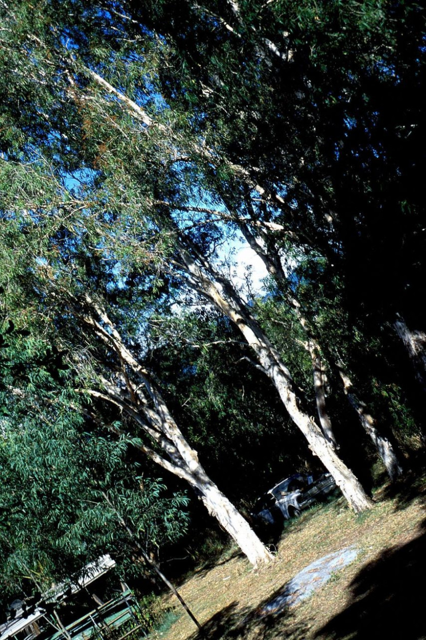 a58839d771429953cb8e69afcafa02df_1773889105_9315.jpg