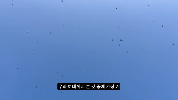 a6c9652d2d44057adf369d8690be4346_1773864333_3743.png