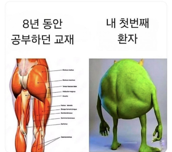 a98d7b69b8883b1cd238d5e62cccf4d8_1774013842_4134.jpg