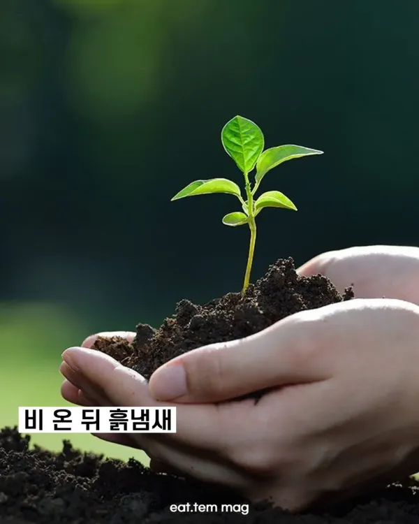 b230ab3c22616fa6b8ee1504d9a82956_1773831952_7506.webp