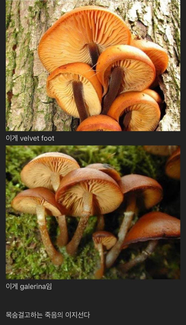 b7bd69df25821209100c8d777f1e53b3_1773921152_7298.jpg