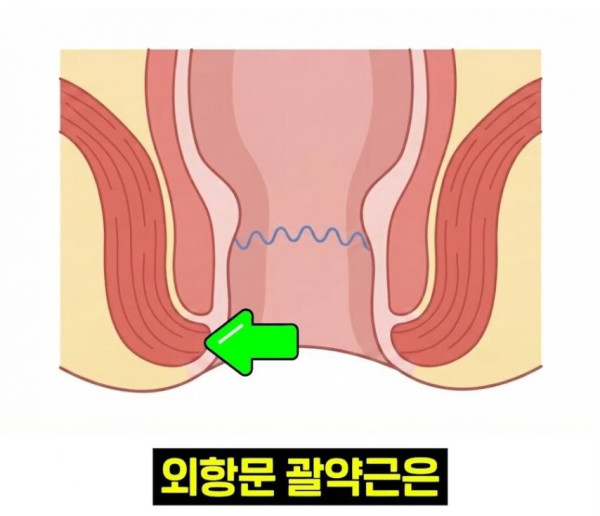 bbee54be6da4cbe0f61b16826c72cca7_1773839584_9175.jpg