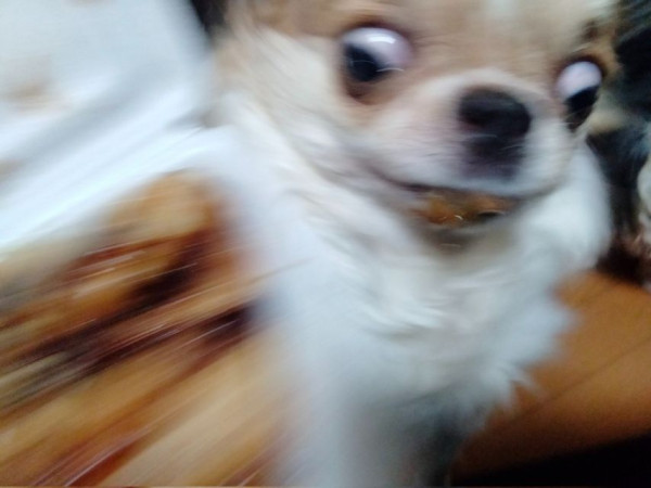 c0ae9d29b72dd82569b91eb05b8a997e_1773899248_2471.jpg