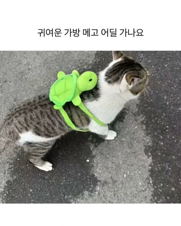 ca0aa1f743e6dabb793b676dd06f2db5_1773767465_8252.png
