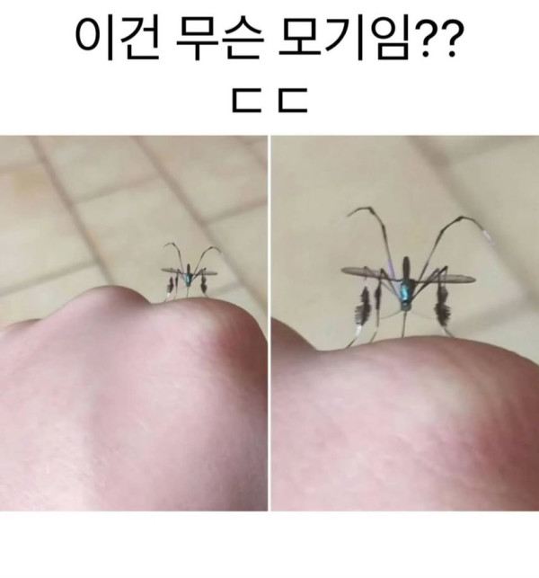 cc8aafe93ae7b8c0322693bf11693d71_1773773098_1396.jpg