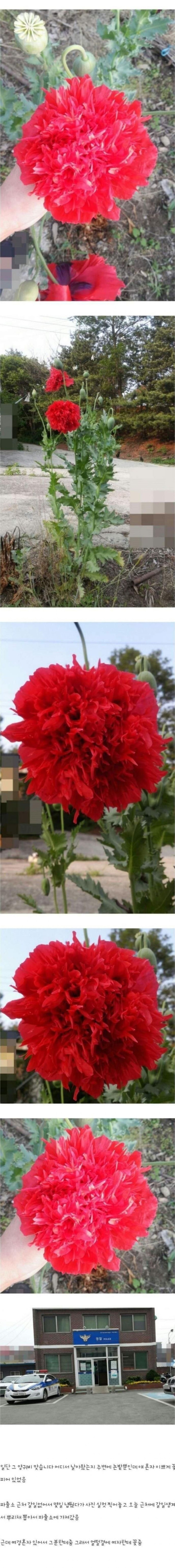 d02b02d03cbdf6784bc0ead5dc1f60e3_1773882307_8572.jpg