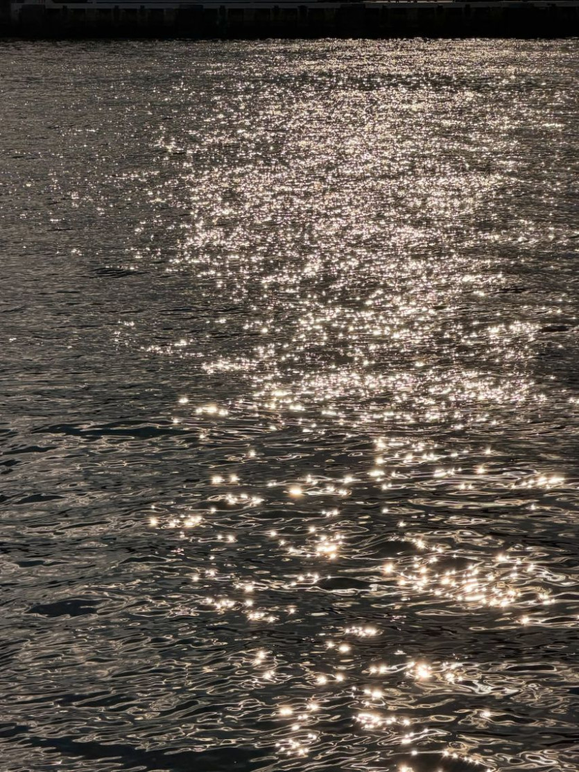 d56dbc898cec7191b6a16f0183f775f5_1773796314_4395.jpg