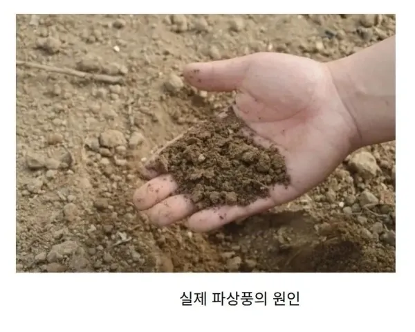 db8383cc5a8f541f4fee695ee076ff36_1773912211_0801.webp