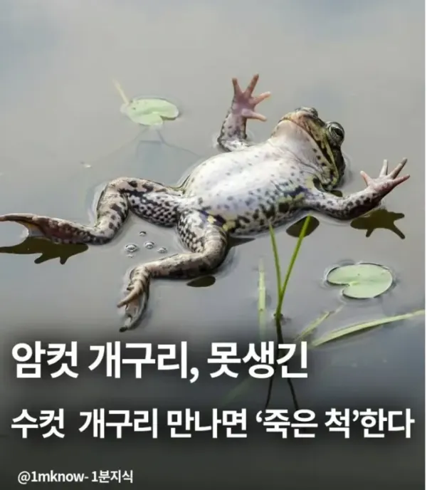 e00de4234ef5593be14464268704fcc7_1773895882_9338.webp