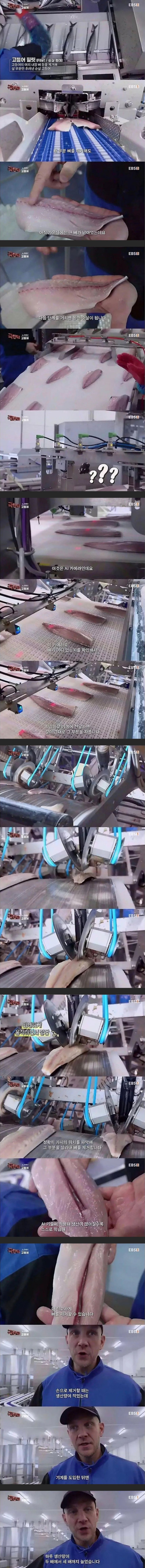 e14626753ab03c410f263b47c81afd5b_1773778151_2724.jpg