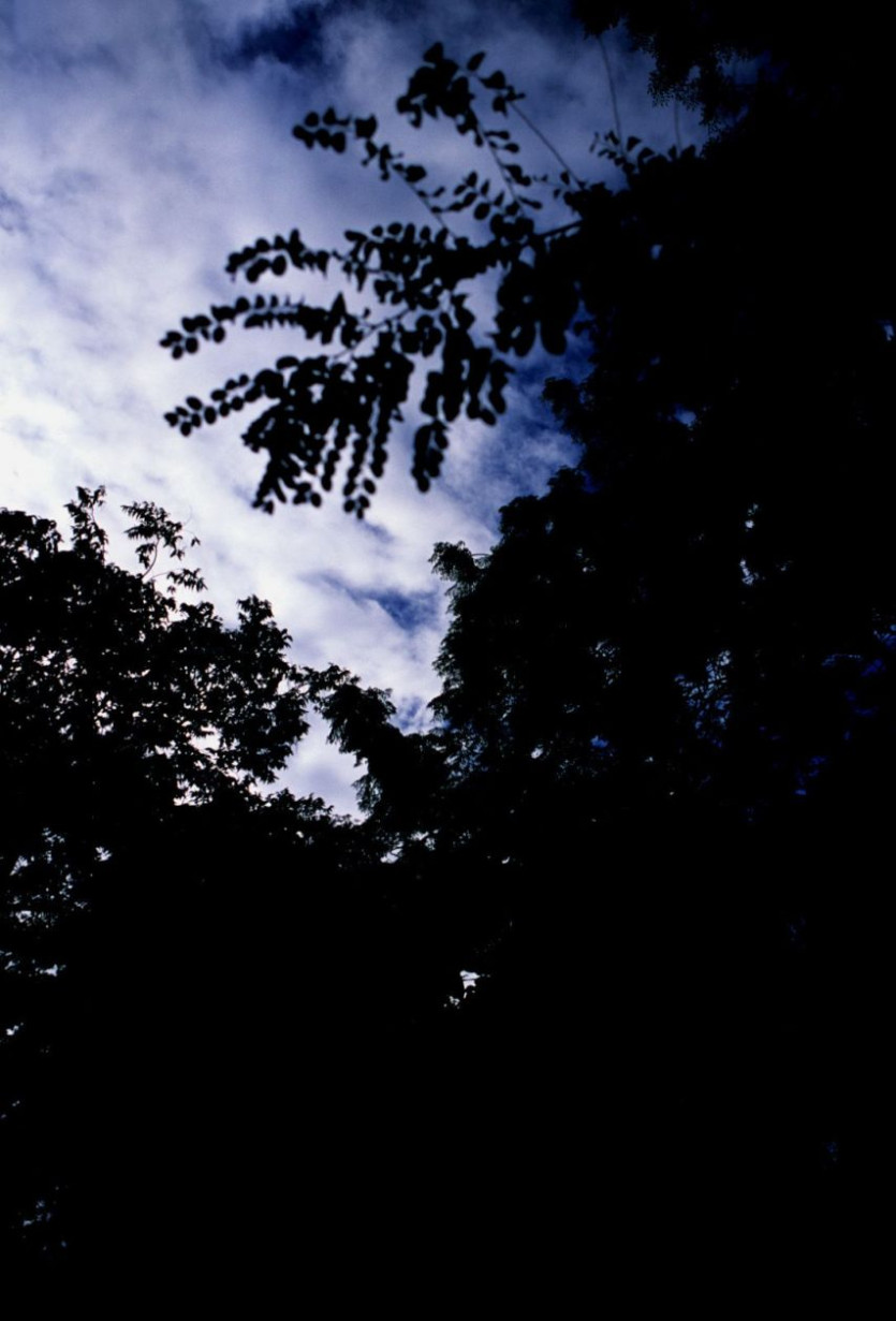 ebc6d5cc96fa023e6958b1fb82bb994a_1773934305_8952.jpg