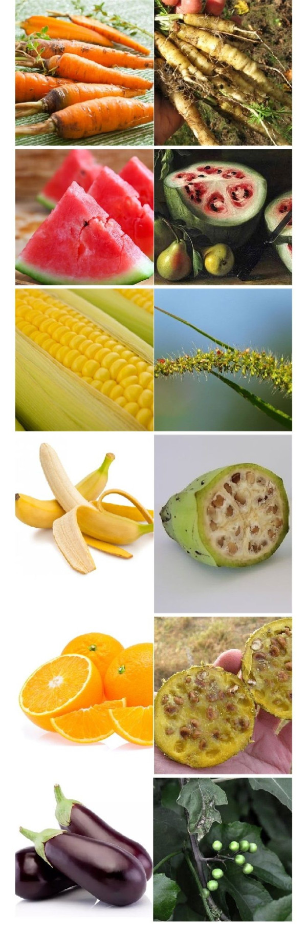 f04f513cda209b7b5b86e825f1bf415f_1773811213_2802.jpg