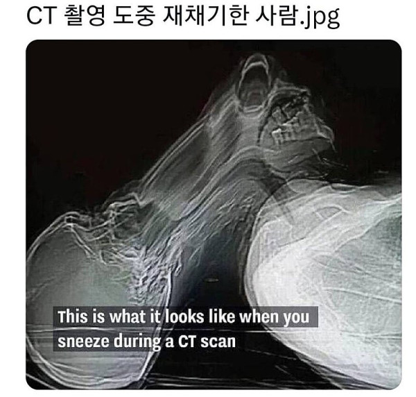 f0b2becc2d5162485c1066a0fc5d91c0_1773791794_4347.jpg