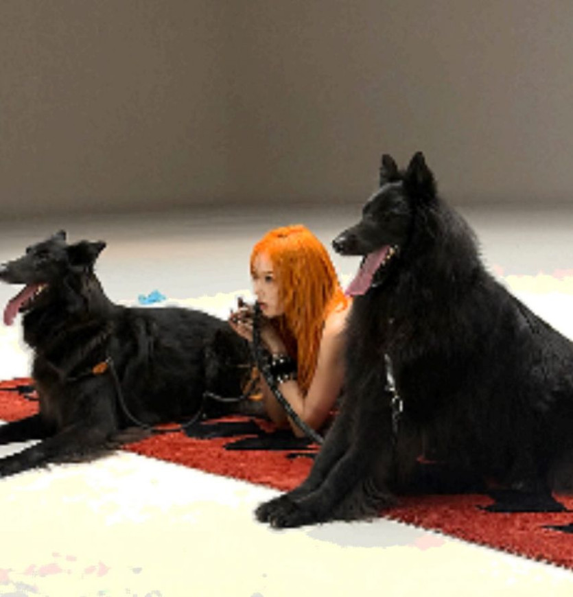 f3b77d6113ef7d0c90101d3fdeff1bae_1773883009_0252.jpg
