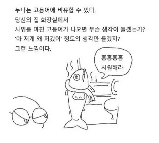 7af9716348d97765d8b2ccdc57f873e5_1776811411_2883.webp