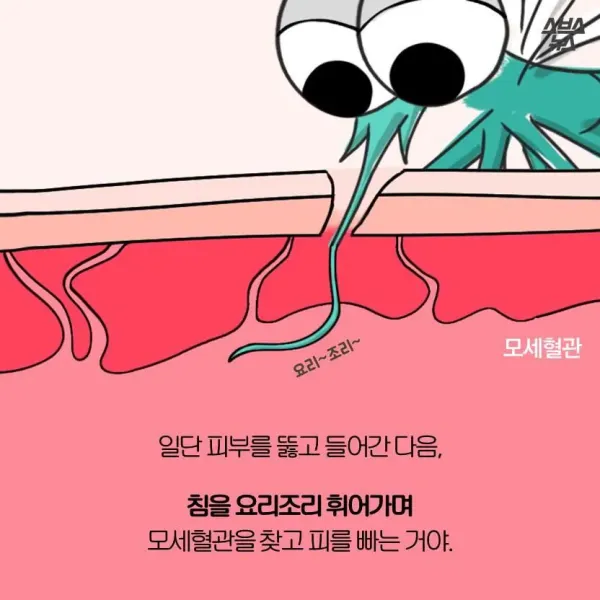 009a4d0a1738a90b1bfe21594ce89c8d_1776968691_5202.webp