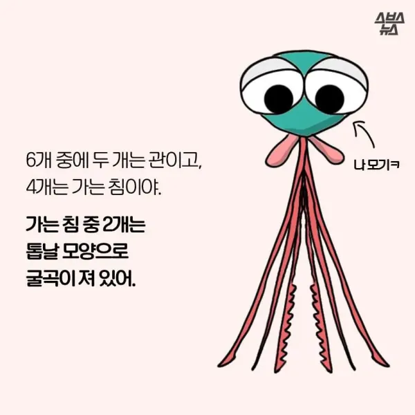 1147b321348c4b3426d1dd5477097786_1776968691_0296.webp