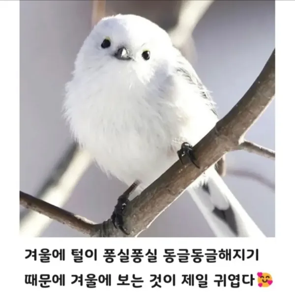 2c740dd9083198e3294e0edaf44496bf_1776803527_1265.webp