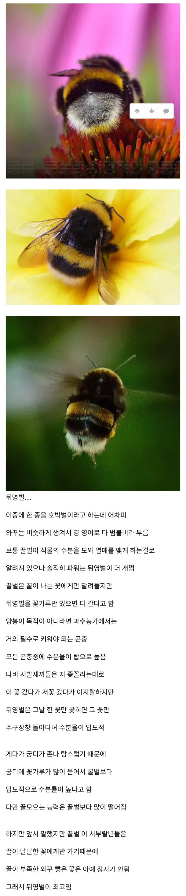 e9ff99895d73a79aa5caff3903059d91_1776781647_9698.webp