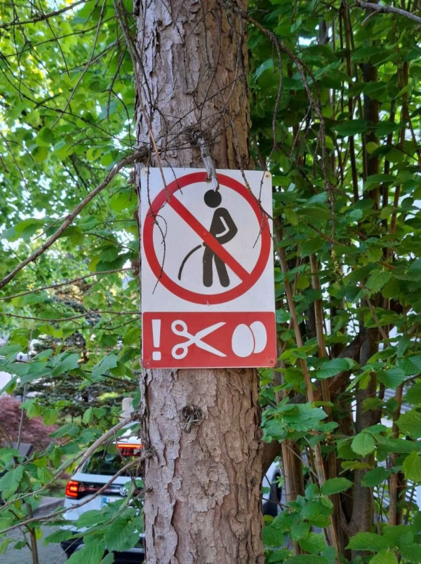 ee5c2c02c4cb749e6ed931e63c43535e_1777018702_5659.jpg