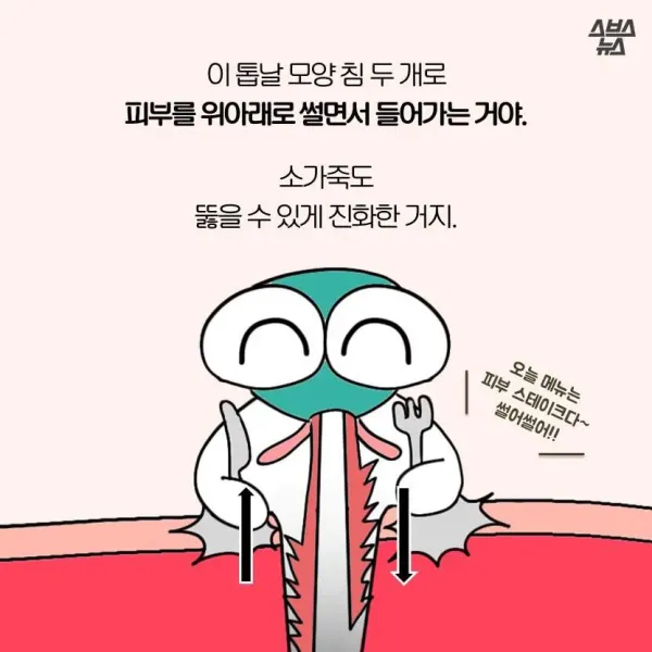 f694a3140954148eb99417153d944b8b_1776968691_2059.webp