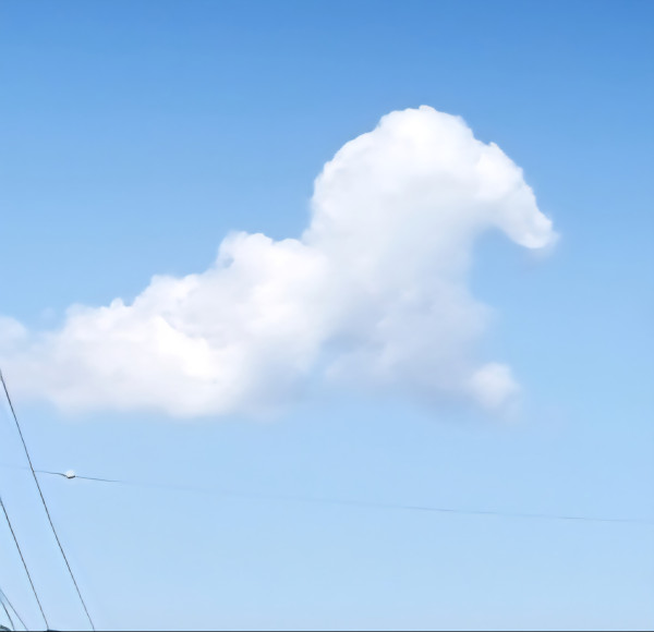 54227f31ee4a7884602ca8aae4e4bbd4_1778683512_2494.jpg