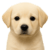 302eba0de062b6f05275fdb460df3d0d_1782141446_3076.png