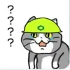 926862fd9aa3683dbb0728028b44e553_1782301195_2199.webp