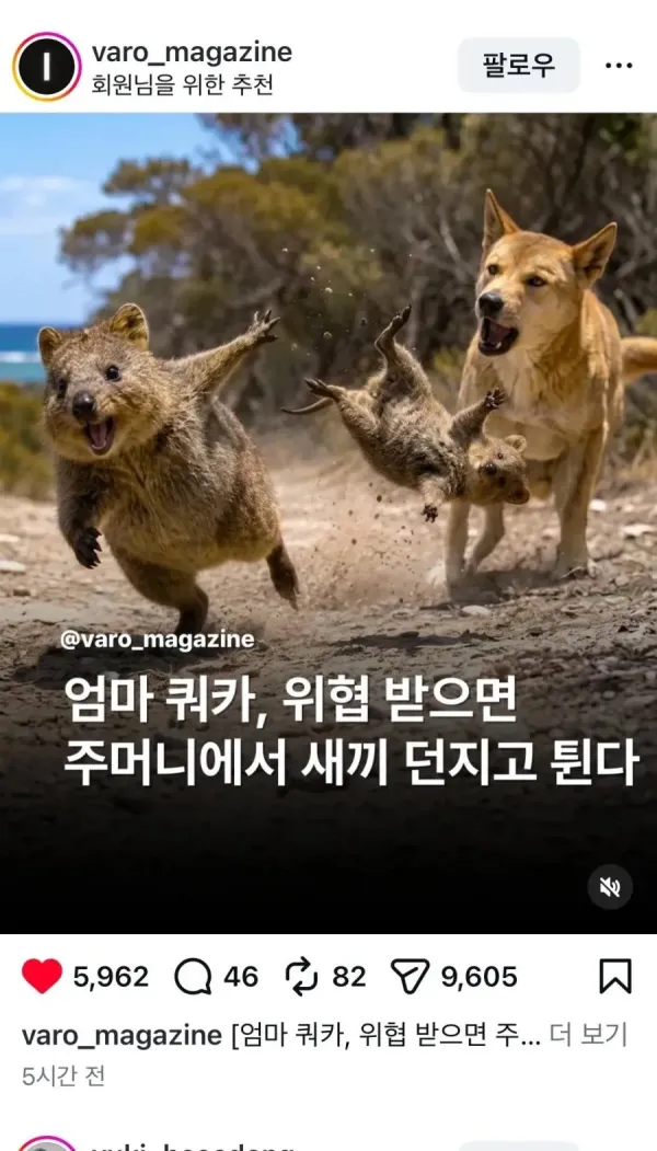 9c7b4cc39c844b73ae61fd82d1624ff8_1782391965_9762.webp