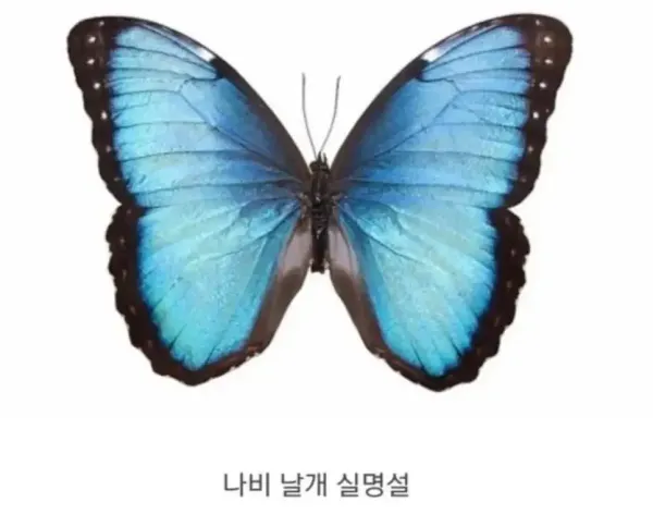 bce819df03aeba72f8e3ab5da9641781_1782775603_7715.webp