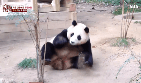 a182eff9ad30a839fb0297d4e9d6b9f7_1783218871_8456.gif