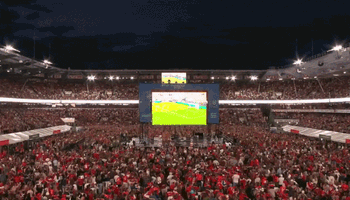 fe554deef36e46f14b9f7daefbf39836_1783323519_638.gif