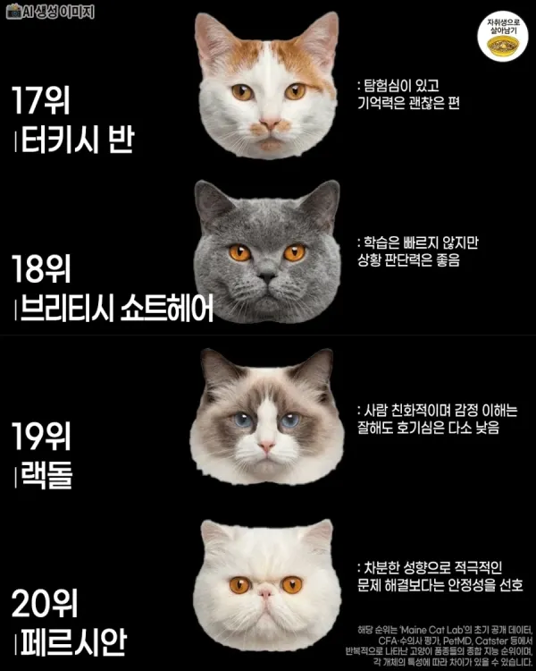 1fc55f92cc1a148d2dc13fe58eddaa61_1783725642_8574.webp